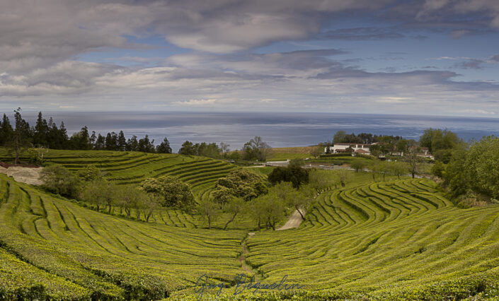 Portugal - Les Acores