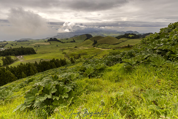 Portugal - Les Acores