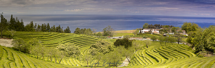 Portugal - Les Acores