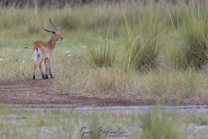 Namibie