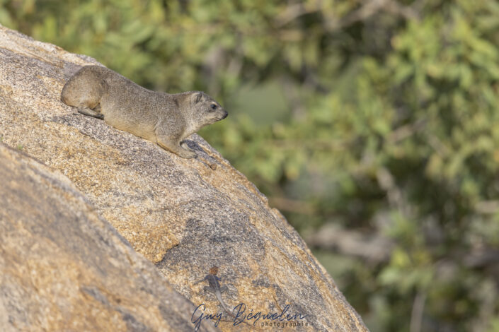 Namibie