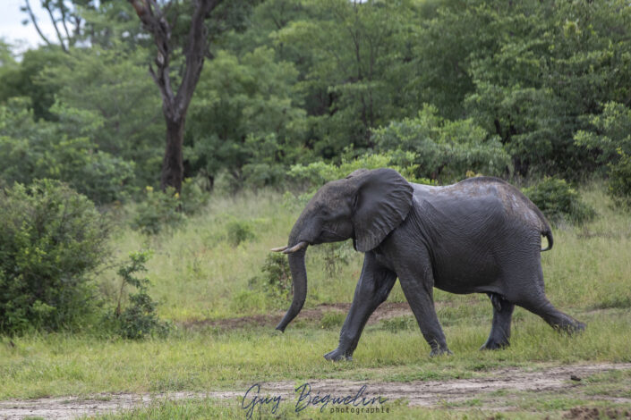 Namibie