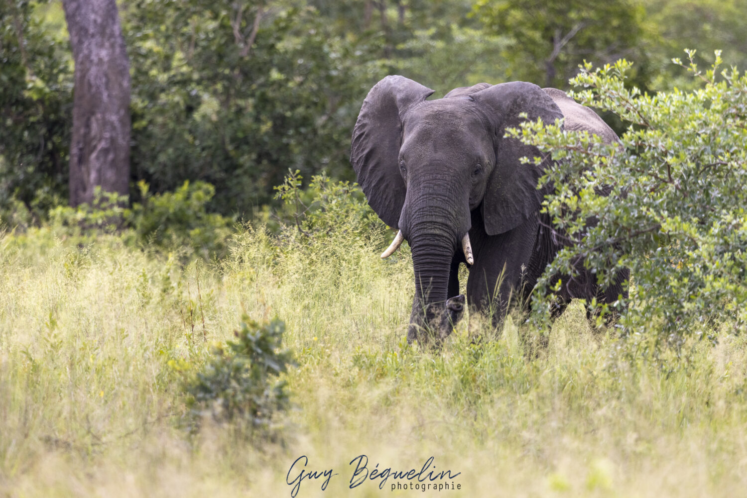 Namibie