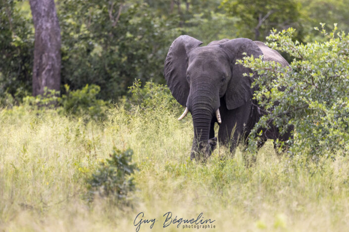 Namibie