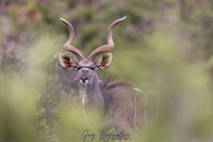 Namibie