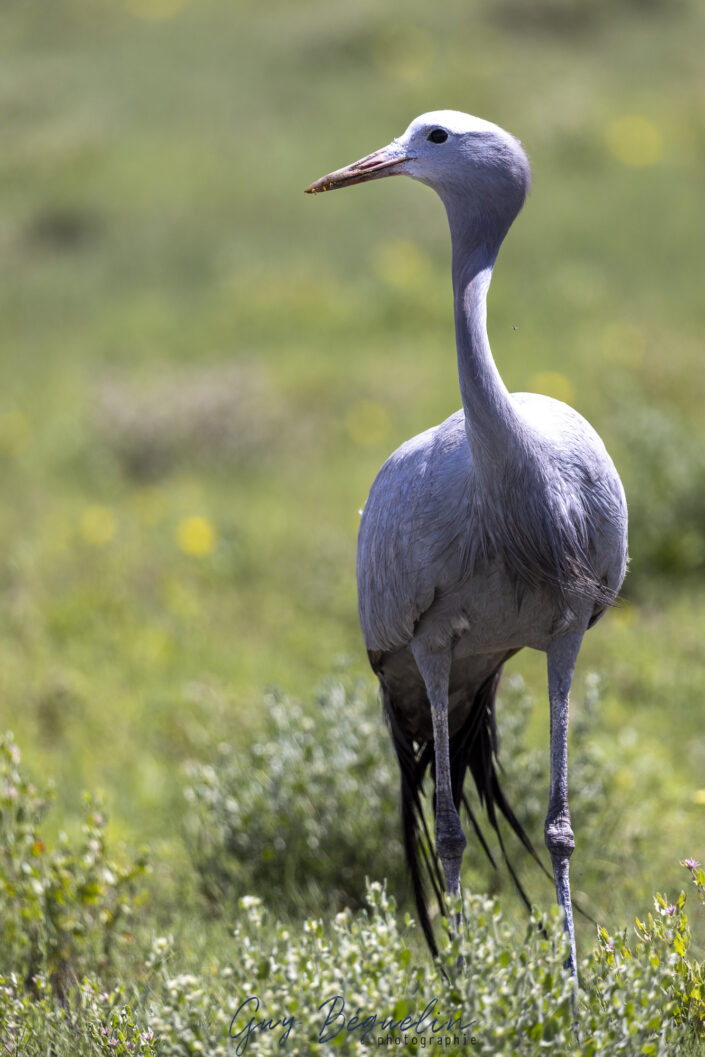 Namibie