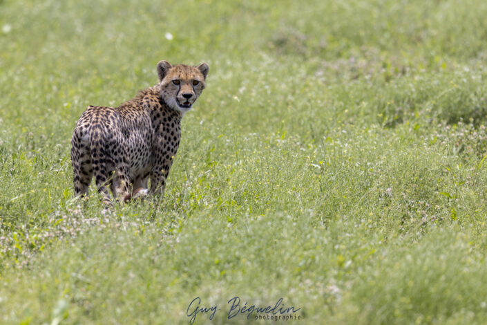 Namibie