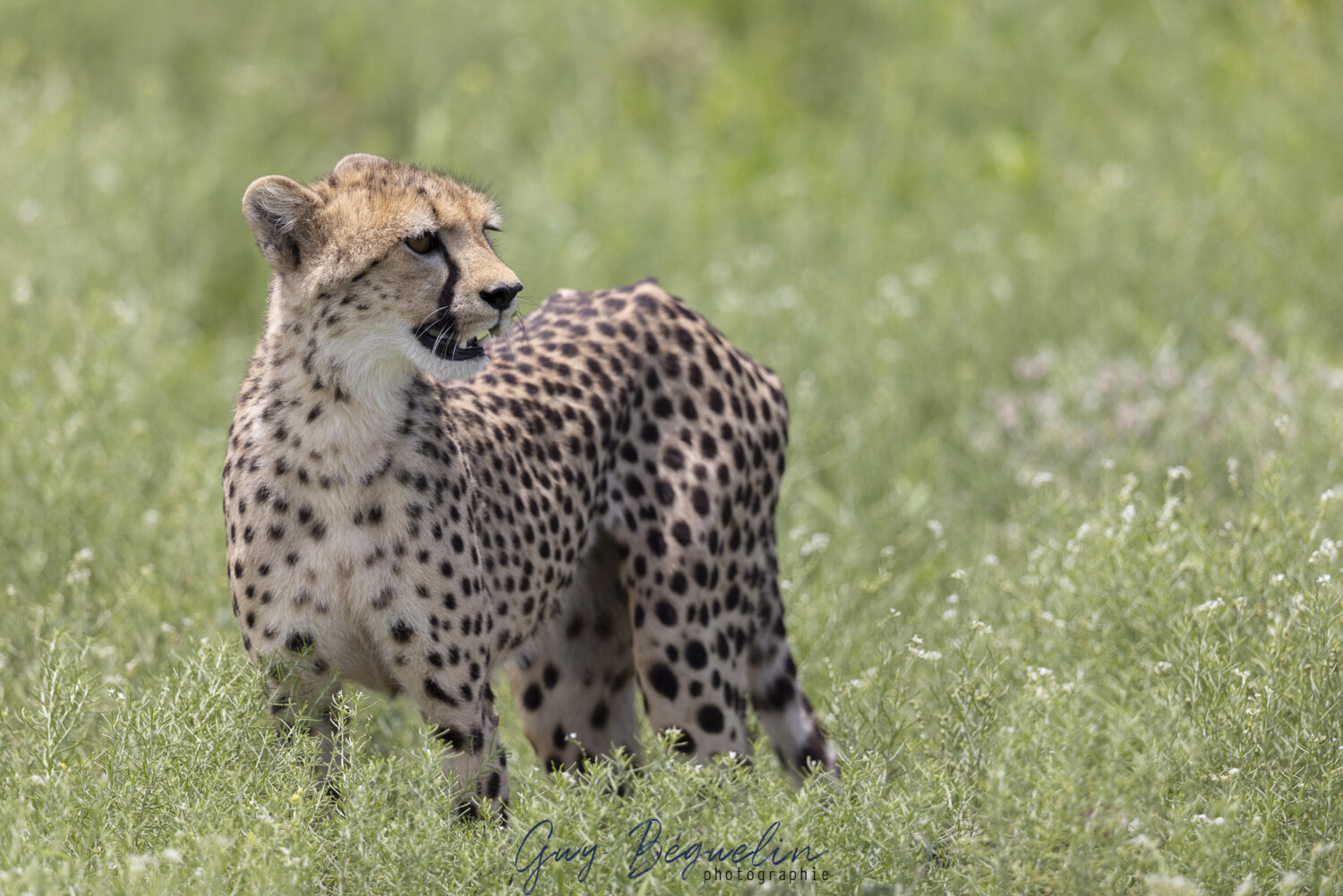 Namibie