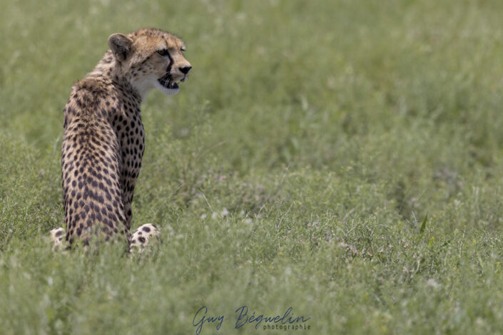 Namibie