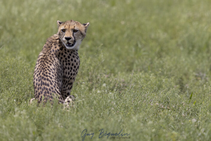 Namibie