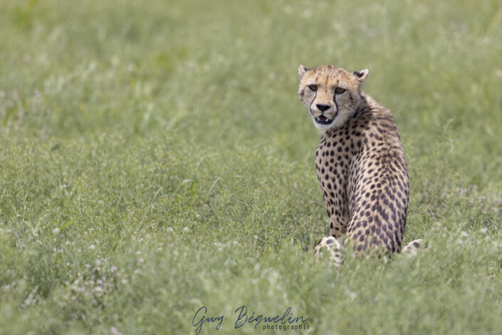 Namibie