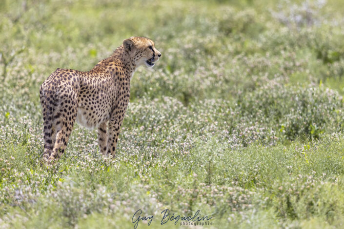 Namibie