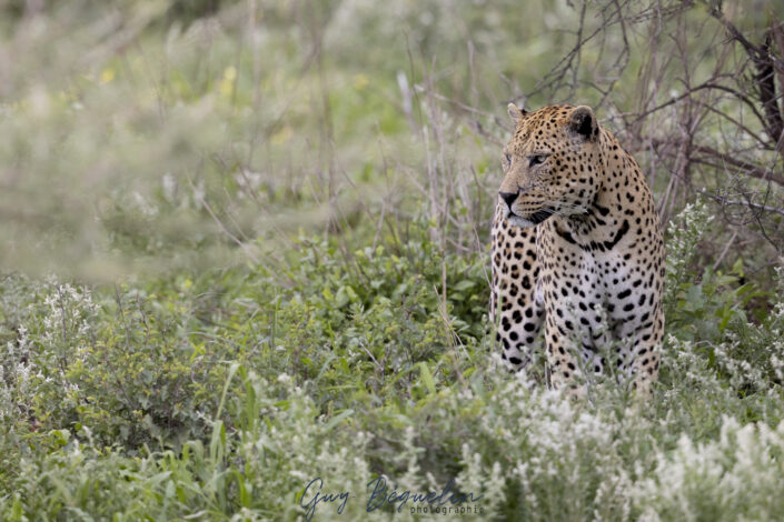 Namibie