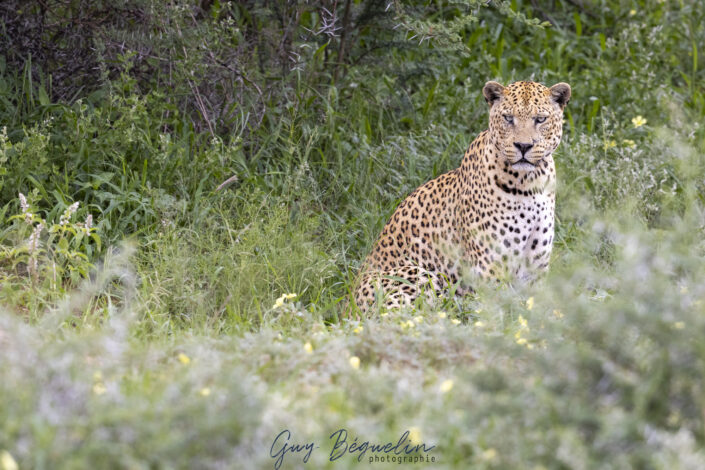 Namibie