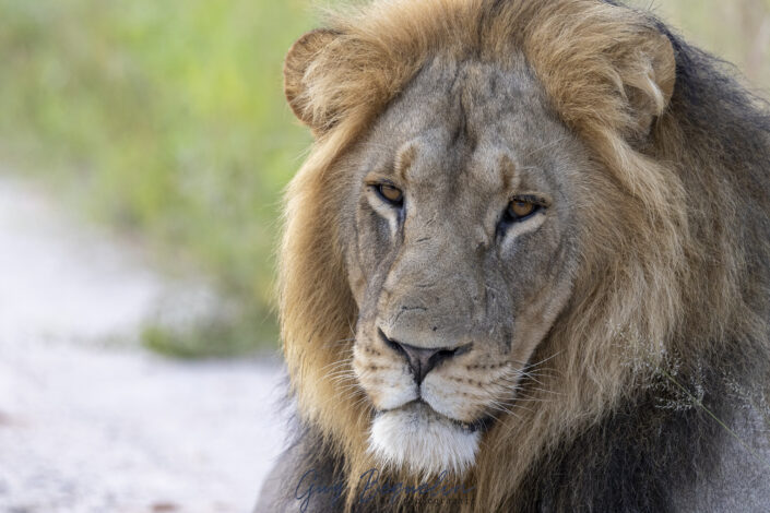 Namibie