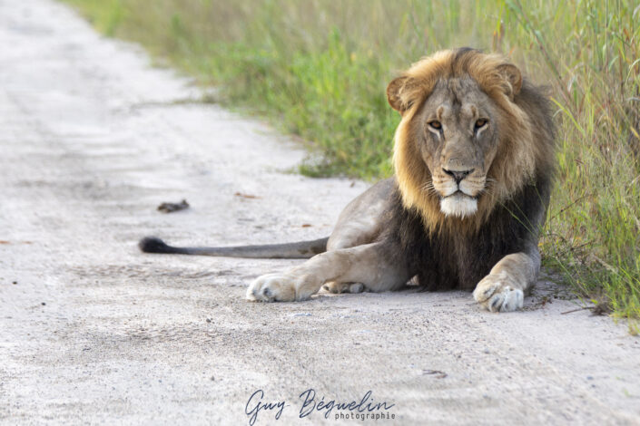 Namibie