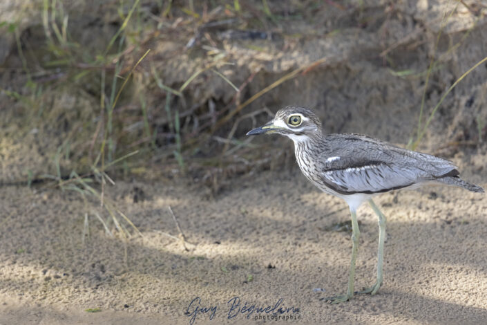Namibie