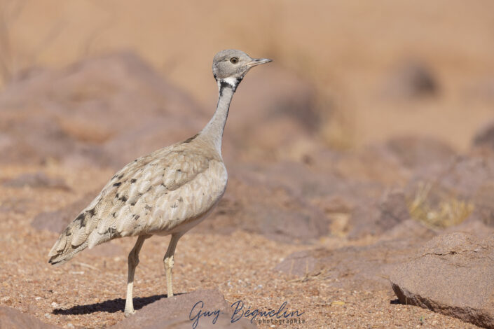 Namibie