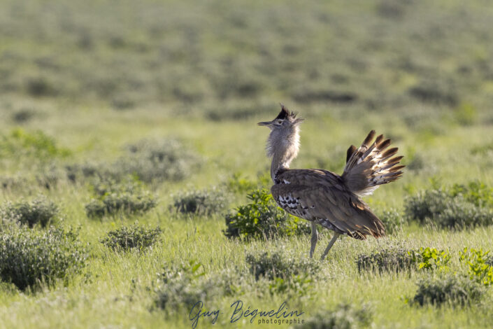 Namibie