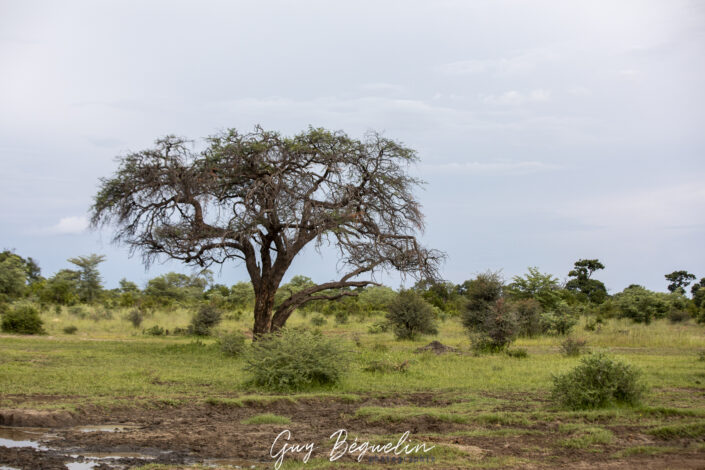 Namibie