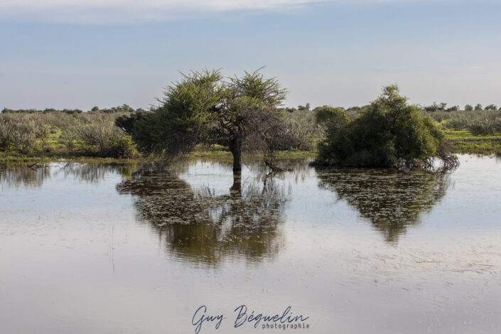 Namibie