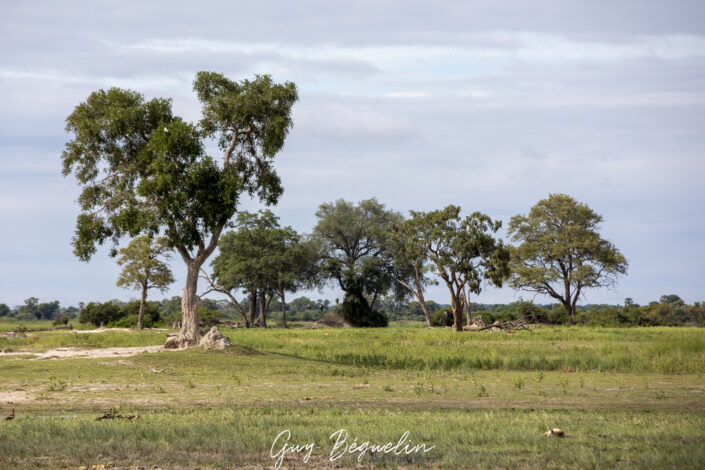 Namibie