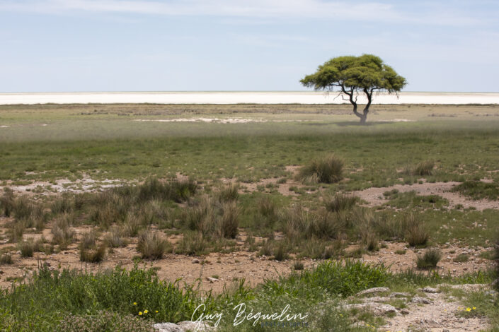 Namibie