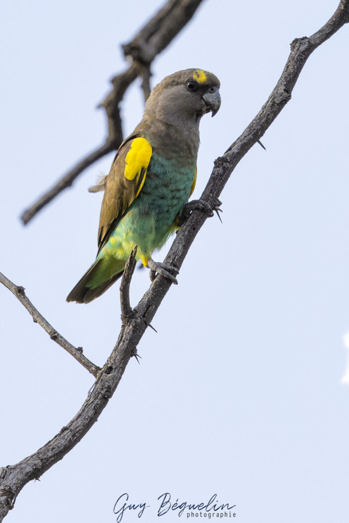 Namibie