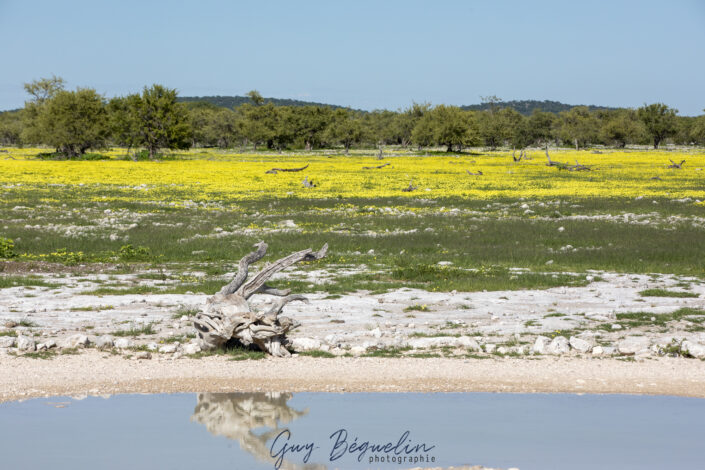 Namibie