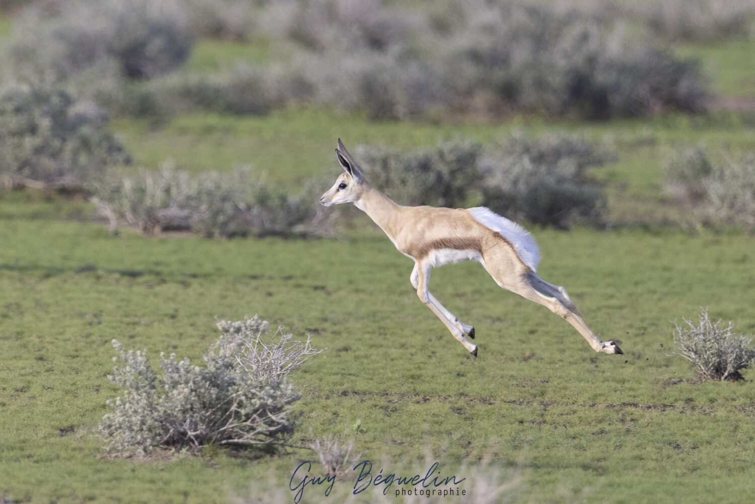 Namibie