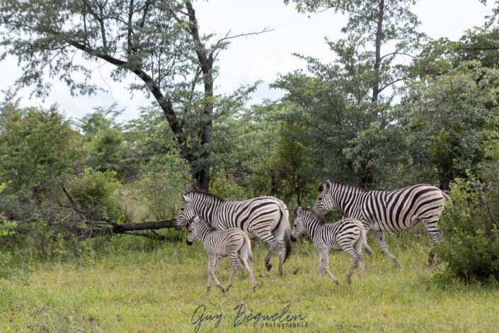 Namibie