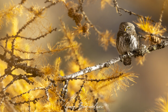 Parc national des Ecrins