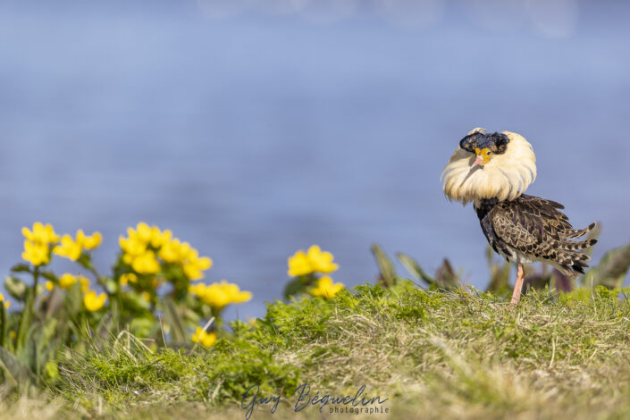 Péninsule du Varanger