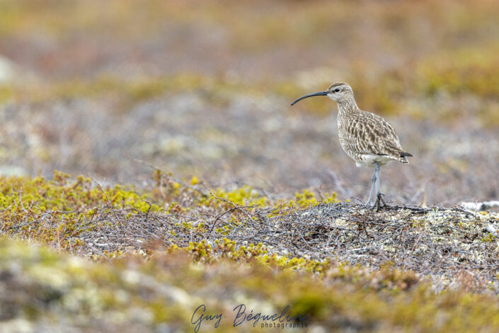 Péninsule du Varanger
