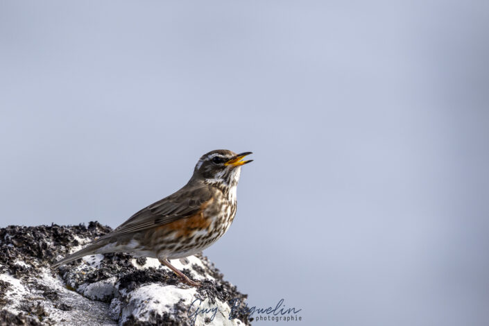 Péninsule du Varanger
