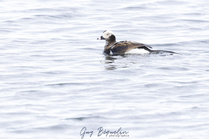 Péninsule du Varanger