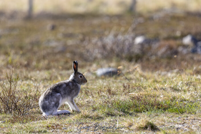 Péninsule du Varanger