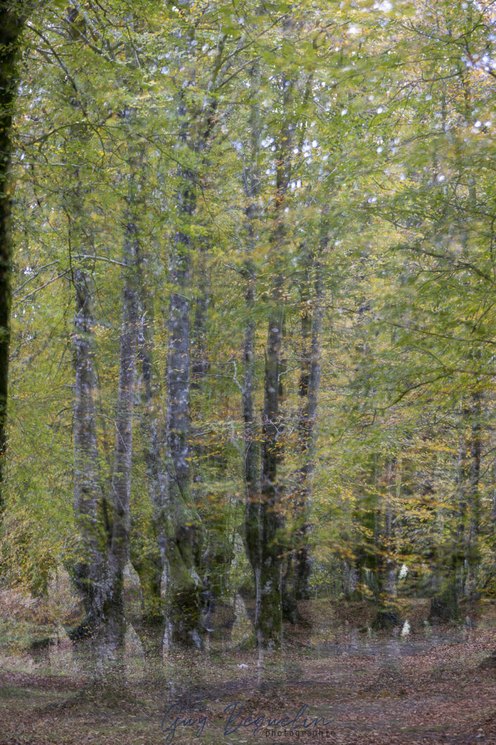 Espagne - Parc Naturel de Gorbeia