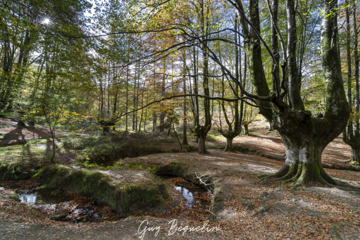 Espagne - Parc Naturel de Gorbeia