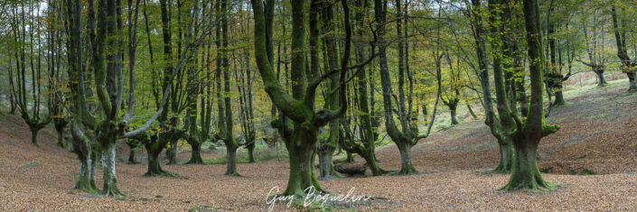 Espagne - Parc Naturel de Gorbeia