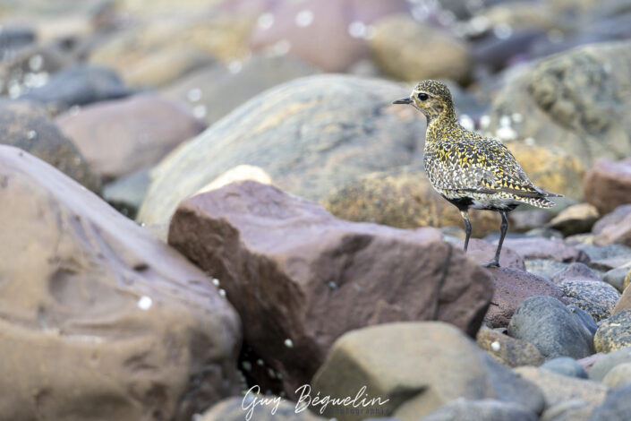 Péninsule du Varanger